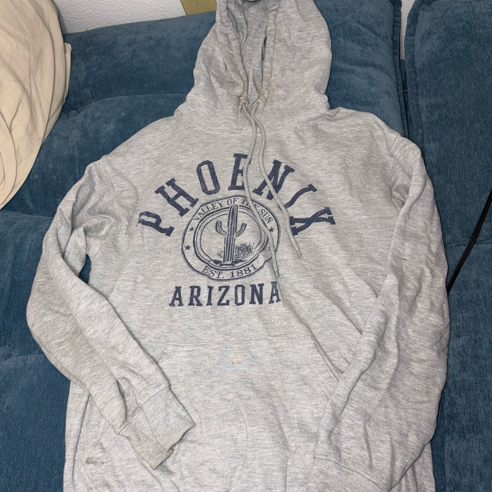 Gray Phoenix Hoodie